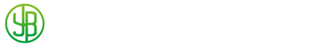 爱游戏真人版